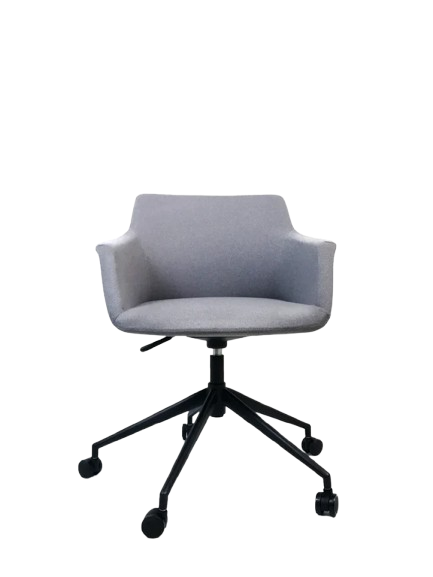 SILLA ALASSIO