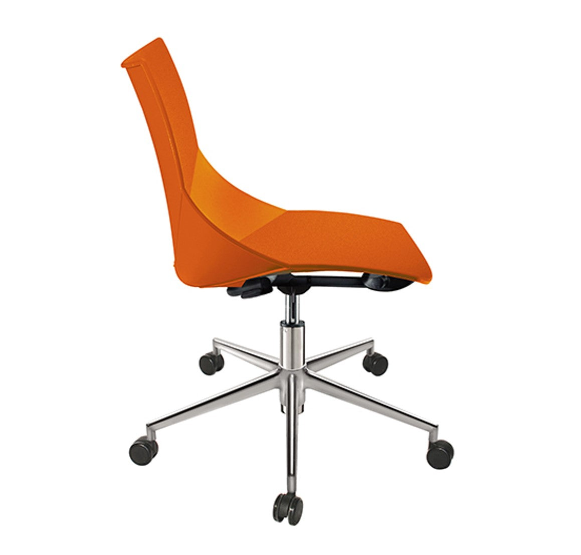 SILLA SHELL