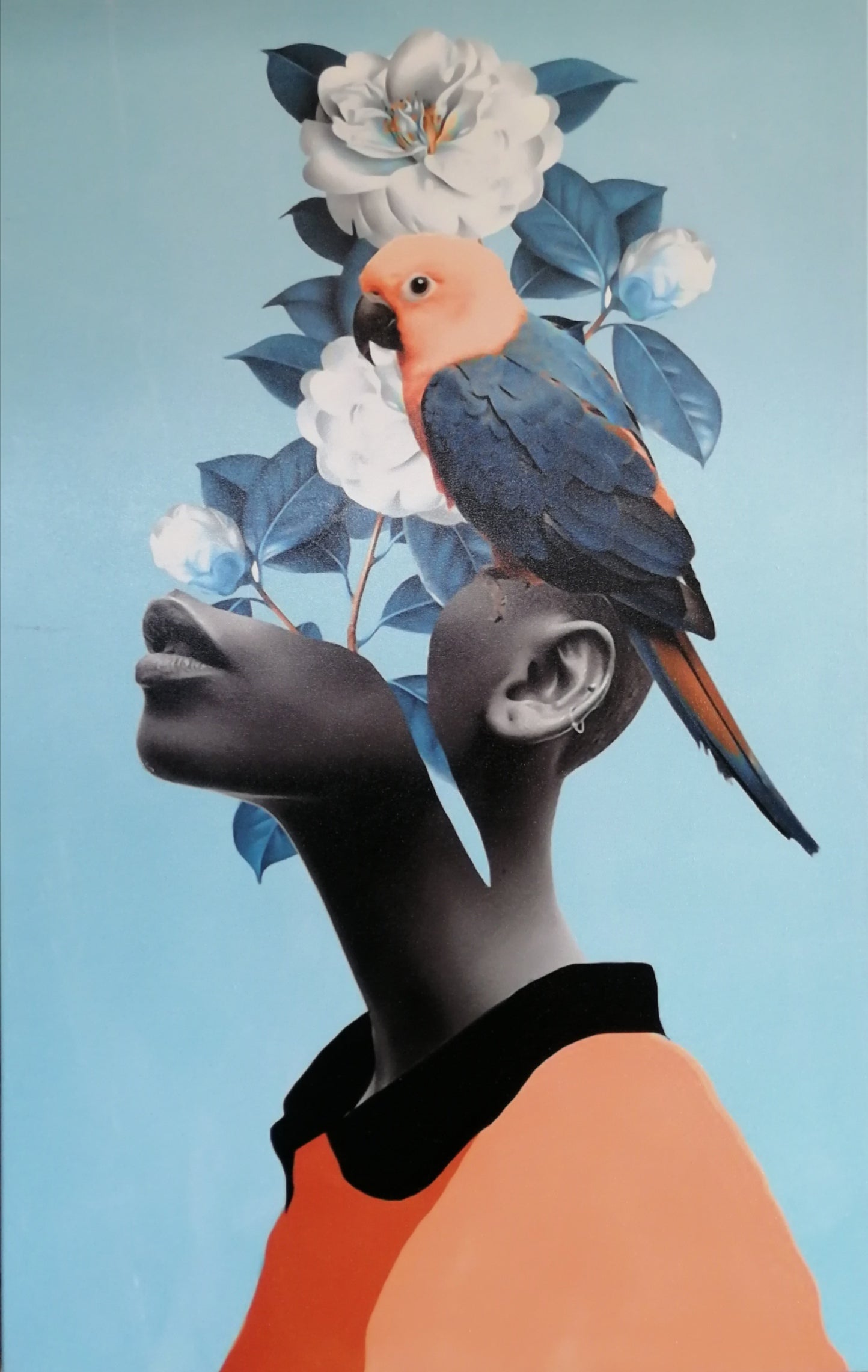 CUADRO NATUREMIND