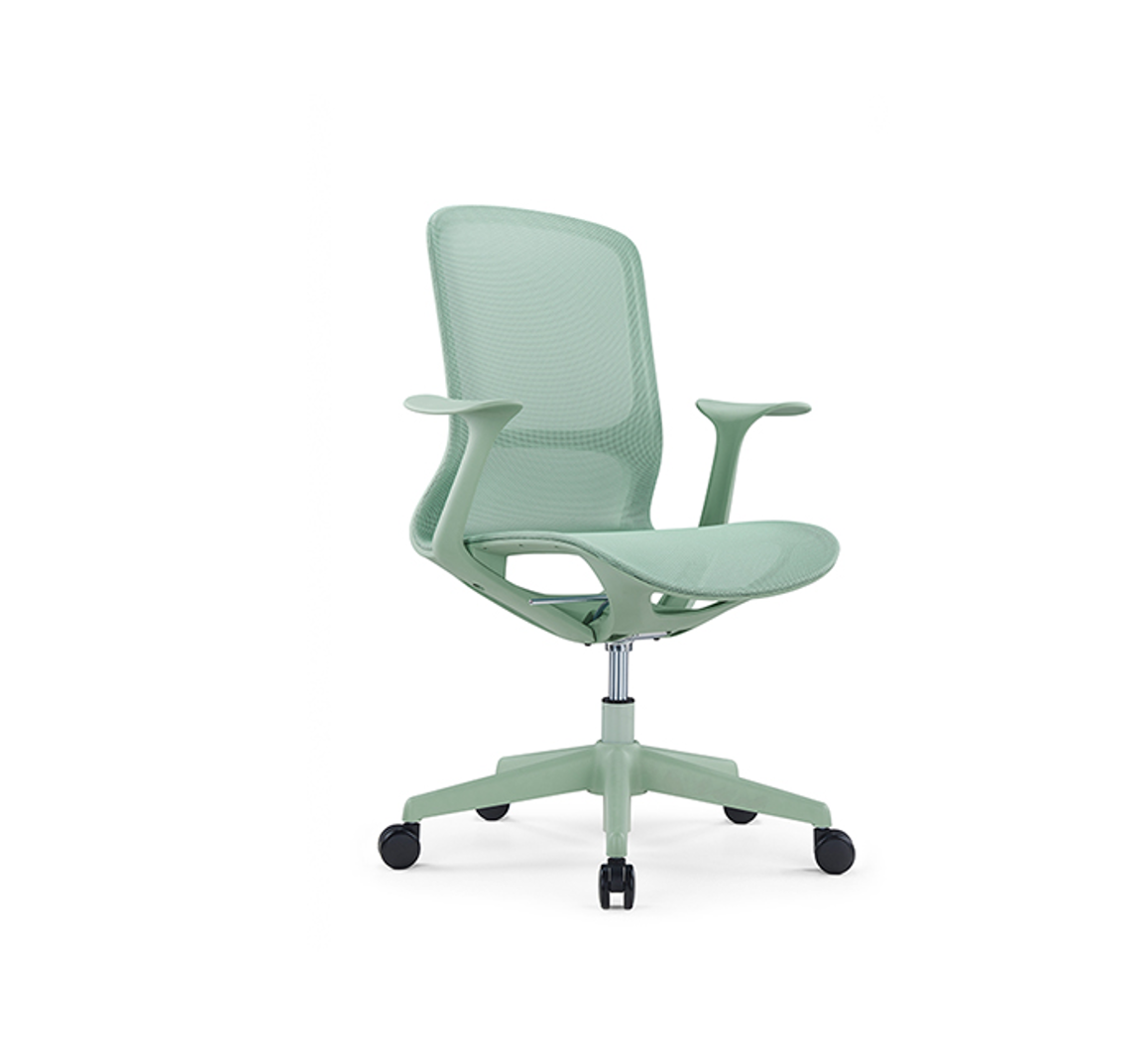 SILLA RAINBOW